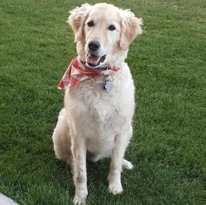 Meet your Posher, Alisha